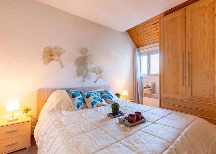 公寓 5 Pers A Saint-lary Avec Wifi - Fr-1-296-460 *