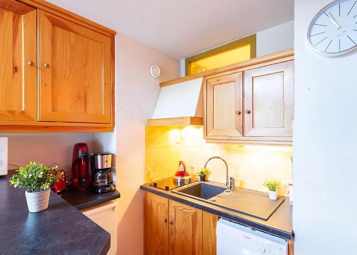 아파트 5 Pers A Saint-lary Avec Wifi - Fr-1-296-460 *